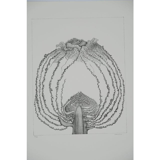 Gochka Charewicz, Le chou, Lithograph For Sale - Image 7 of 7
