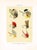 Original mid-century color lithograph print of Bass fishing flies. Based on the designs of the American sportsman Charles...