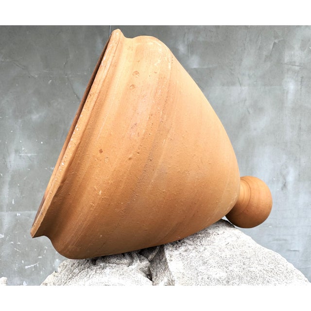 Large Rustic Terracotta Amphora Planter, 1990s For Sale - Image 11 of 11