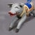 Early 20th Century Rare Antique Children Carousel Pig, Germany Ca. 1920s For Sale - Image 5 of 11