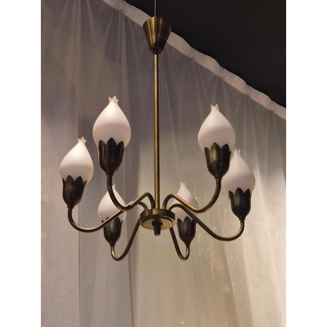 Metal Mid-Century Tulip Chandelier in Brass and Glass attributed to Fog & Mørup, Denmark, 1960s For Sale - Image 7 of 9