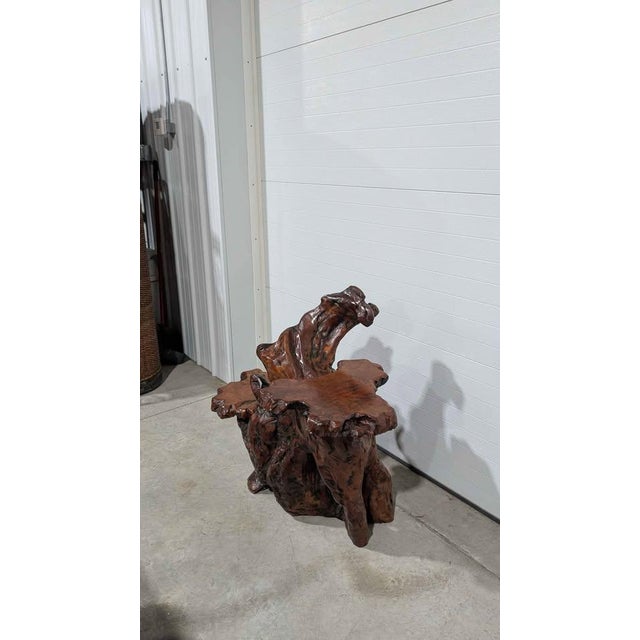 Late 20th Century Carved Burl Wood Pedestal Plant Sculpture Stand / Coffee Table For Sale - Image 5 of 7