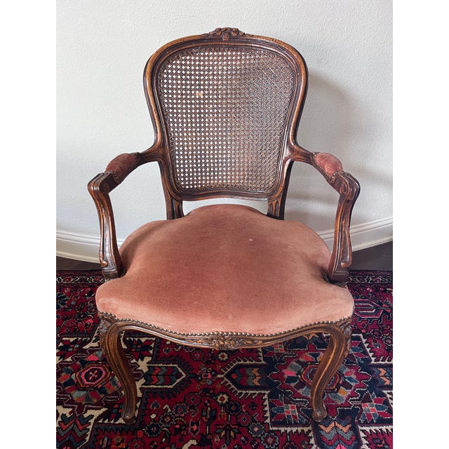 Vintage Chateau D'ax French Provincial Louis XV Fauteuil Armchair Suede Leather Cane back Distributed by Wernermeier...