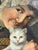 1900 - 1909 B. Hartman, Portrait Composition, 1907, Oil Painting on Canvas, Framed For Sale - Image 5 of 8