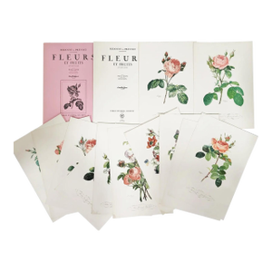 Vintage French Portfolio Set of 14 Etching Plates Botanical Floral Engravings - Paris