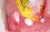 Falling Feathers in Yellow and White Abstract Expressionist in Acrylic on Paper by Ricardo De Silva For Sale - Image 4 of 6
