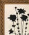 Contemporary Original Contemporary Framed Black Ad White Floral Painting For Sale - Image 3 of 3