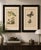 Guérin & Duméril, Butterfly and Moth, 1835, Engraving, Set of 2 For Sale - Image 9 of 10
