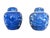 Vintage Asian Antique Blue and White Ginger Jars- A Pair For Sale - Image 14 of 16