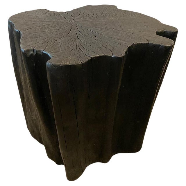 Andrianna Shamaris Amorphous Charred Side Table For Sale - Image 15 of 18