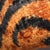 Contemporary Contemporary Tiger Silk Velvet Pillow For Sale - Image 3 of 10