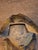 Vintage Cast Iron Owl on Stump Still Bank Gold Finish 3.7" Moore Pg 90 #599 For Sale - Image 16 of 18
