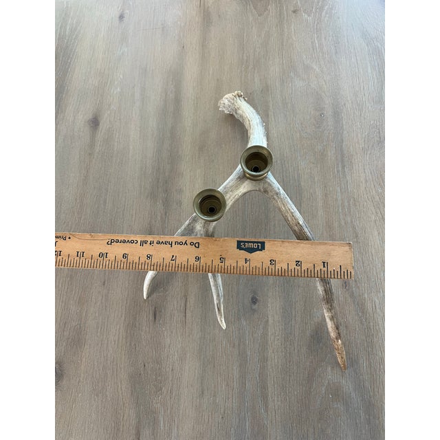 Vintage Natural Drop Deer Antler Candelabra For Sale In Jacksonville, FL - Image 6 of 10