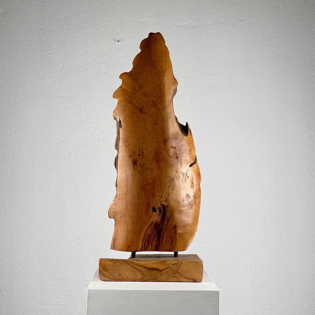 Italian Phytomorphic Abstract Sculpture in Natural Ash, 1960s For Sale - Image 6 of 18
