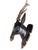 Black Forest Wood Carved Deer Head Trophy Antlers Carving For Sale - Image 4 of 6
