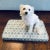 Stout Edgar Glacier Dog Pet Bed / Little Dog For Sale - Image 4 of 8