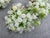 White Green Floral Napkin Ring - Set of 10 For Sale - Image 12 of 16