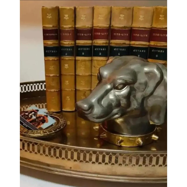 Antique Figural Dog Head Tobacco / Cigarette Box ~ Circa Late 19th Century For Sale - Image 9 of 11