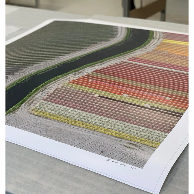 "AV_Tulip_Fields_027" Contemporary Limited Edition Photography Fine Art Print by Bernhard Lang For Sale - Image 6 of 10