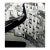 Stanley Twardowicz, Vintage Silver Gelatin Photograph Stanley Twardowicz Venice Italy Gondola Photo For Sale