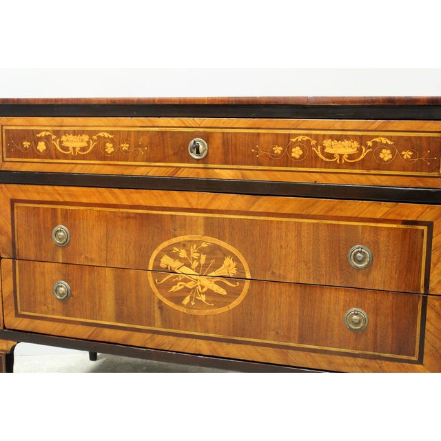 Antique Italian Louis XVI Chest of Drawers in Walnut, 1700s For Sale - Image 15 of 16