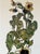 Egon Schiele, Sunflowers, 1917, Print For Sale - Image 4 of 13