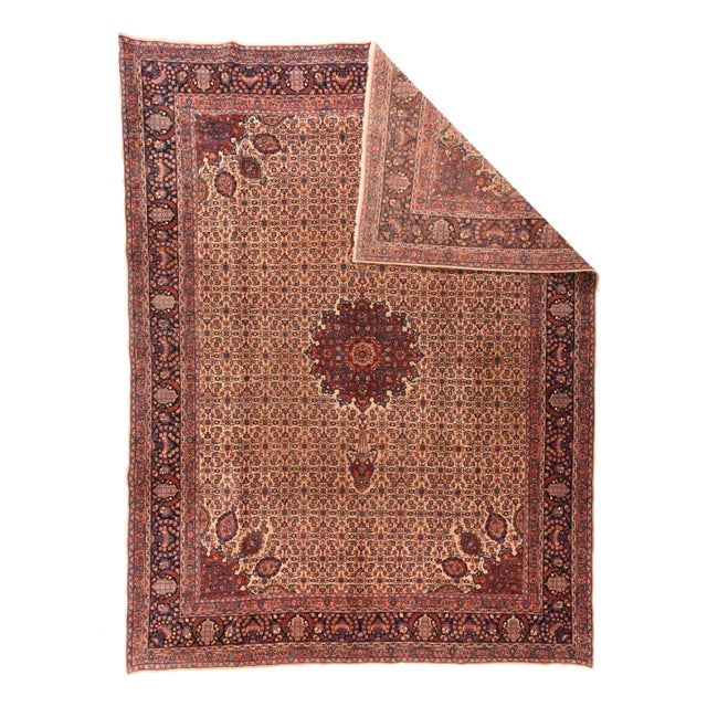 Fine Antique Persian Bidjar Wool on Cotton 10'1'' x 13'6'' Ivory, Red, Blue