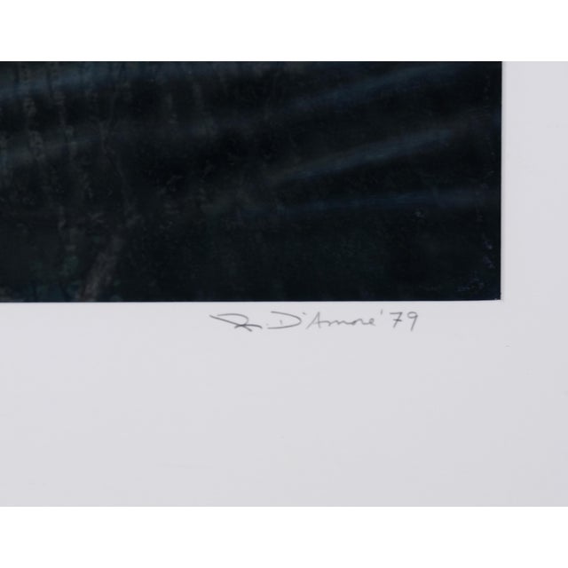 Contemporary 1979 Richard d'Amore "Bed Pillow" Original Photograph Art Gallery Wood Framed & Matted and Behind Plexiglass For Sale - Image 3 of 4