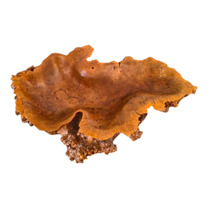 Large Natural Live Edge Burlwood Carved Turned Organic Modern Centerpiece Bowl