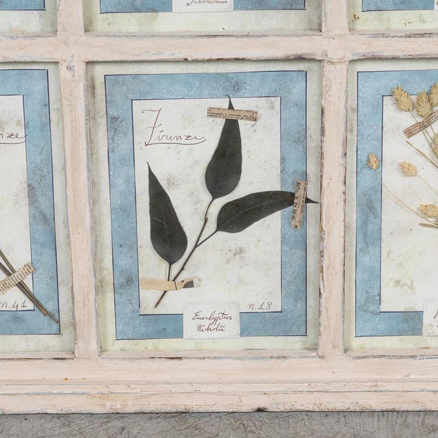 Large Italian Oak Frame Containing Pressed Flowers and Herbs, 1980s For Sale - Image 9 of 18