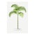 Vintage Palm Tree Illustration, Botanical Art Print Reproduction, 26" X 40" For Sale