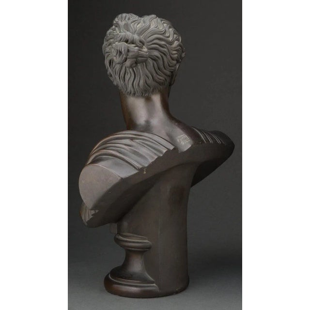 French 19 Century Apollo and Daphne Bronze Clad Busts - A Pair For Sale - Image 4 of 7