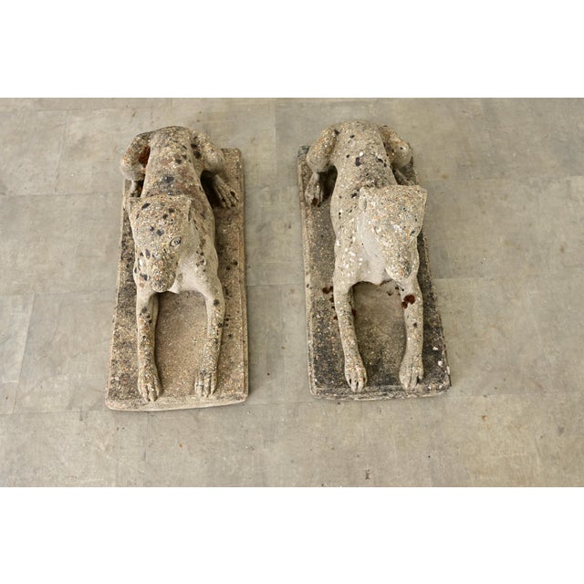 Early 20th Century Early 20th Century English Pair of Cast Stone Whippet Garden Statues For Sale - Image 5 of 12