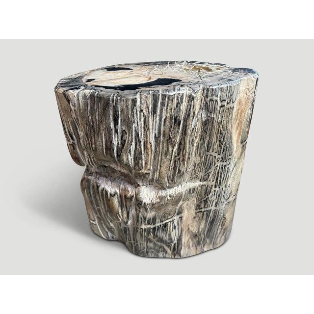 Contemporary Andrianna Shamaris Ancient Sculptural Petrified Wood Side Table For Sale - Image 3 of 6