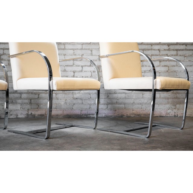 Cream Vintage Mies Van Der Rohe Attr. Brno Flat Bar Armchairs (Only 2 Left) For Sale - Image 8 of 12