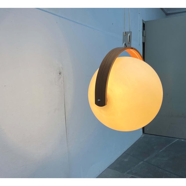 Mid-Century Modern Swiss Space Age Plastic and Plywood Pendant Lamp from Temde, 1960s For Sale - Image 10 of 18