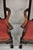 Wood Late 20th Century Chippendale Style Mahogany Carved Ball and Claw Dining Arm Chairs - A Pair For Sale - Image 7 of 12
