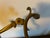 American Large Antique 19th Century Georgian Style Heavy Cast Brass Doctor's Door Knocker For Sale - Image 3 of 13