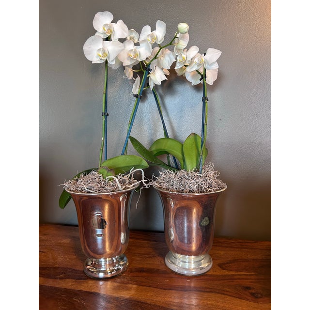 Hard to find large pair of antique mercury glass vases or cache pots. Do not get these confused with cheaper reproductions...