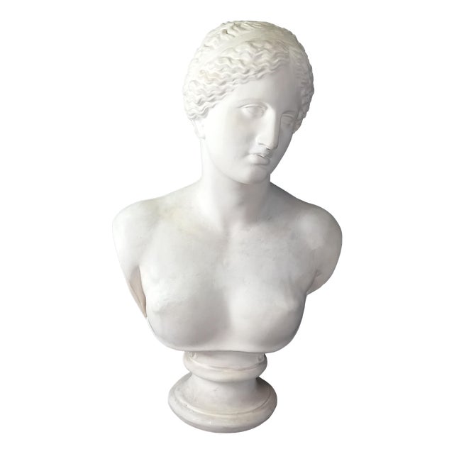 Large Nude Bust of Venus, 1950s For Sale