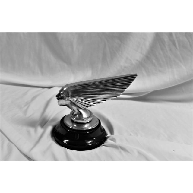 2000 - 2009 Art Deco Lady Face (Victory) Silvered Bronze in the Manner of Lalique For Sale - Image 5 of 18