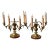 Pair of Early 20th Century Table Top 4 Lights Candelabra Victorian Style Lamps with Lion Heads in Brass For Sale