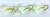 Bernardaud Frivole, French Limoges, Flat Cup & Saucer Set - Complete Set of 7 (Never Used) For Sale - Image 10 of 13