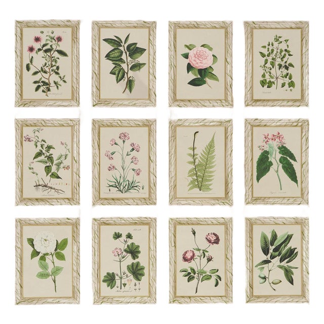 Sample - Schumacher x Johnson Hartig Garden's Trust Wallcovering in Blushed Oyster For Sale