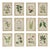 Sample - Schumacher x Johnson Hartig Garden's Trust Wallcovering in Blushed Oyster For Sale
