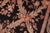 Shabby Chic Shabby Chic Trellis 1990's Pak-Persian Black/Rust Wool Rug - 6'1'' X 9'3'' For Sale - Image 3 of 9
