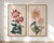 Paper Crimson & Blush Diptych – Vintage Japanese Botanical Prints (Set of 2), 40" X 60" For Sale - Image 7 of 8