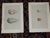 Printmaking Materials Authentic Antique 19th Century Hand Colored Egg Lithographs - Water Birds - Set of 12 For Sale - Image 7 of 9