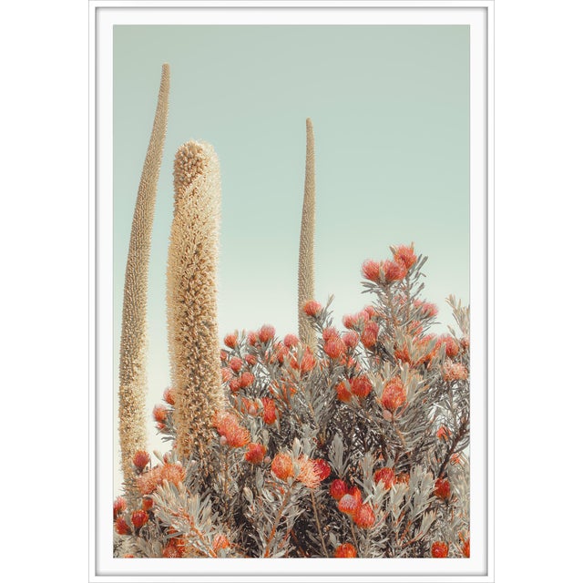 summer light explores the quiet beauty of west coast flora beneath a pale coastal sky. sun-washed tones, silvery foliage,...