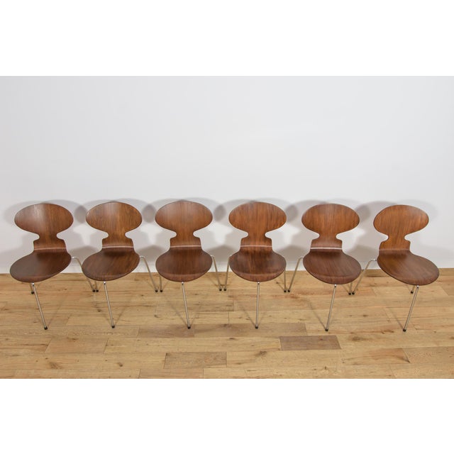 Fritz Hansen Mid-Century Model 3101 Ant Dining Chairs by Arne Jacobsen for Fritz Hansen, Denmark, 1970s, Set of 6 For Sale - Image 4 of 18